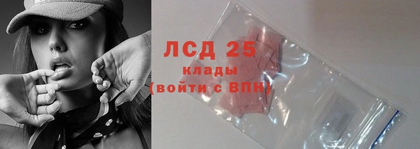шишки Вяземский