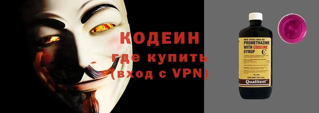 гашик Дмитровск