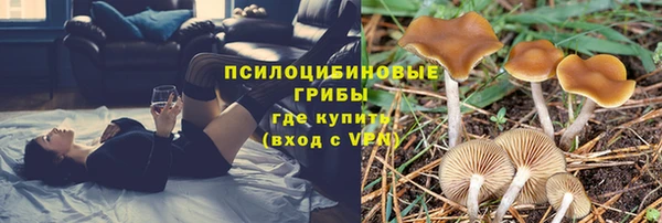 трава Абинск