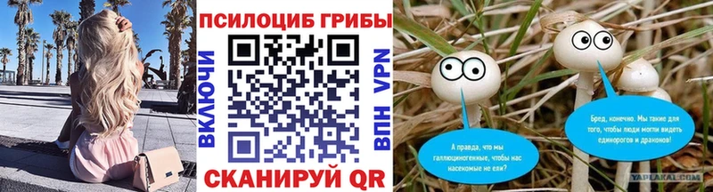 Псилоцибиновые грибы прущие грибы  кракен зеркало  Мамадыш 