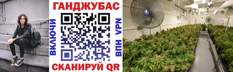 Бошки марихуана VHQ  ОМГ ОМГ как войти  Мамадыш 